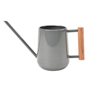 Indoor watering can charcoal